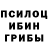 Галлюциногенные грибы мицелий Tejaswini Sarwade