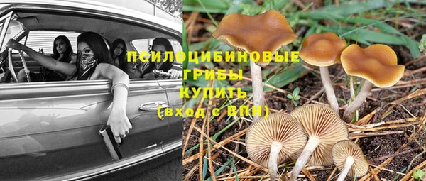 меф Богородск