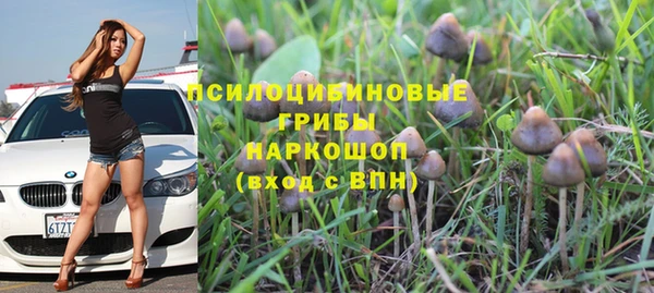 меф Богородск