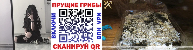 Галлюциногенные грибы Cubensis Жуковский
